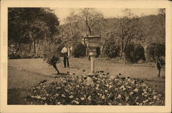 Institut St. Berthuin - Botanic Garden Malonne, Belgium Benelux Countries Postcard Postcard