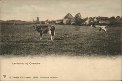 Landschap bij Overschie Postcard