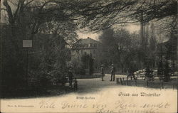 Stadt-Garten Winterthur, Switzerland Postcard Postcard