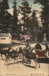 Deer Park Nara, Japan Postcard Postcard