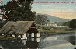 In the Beechwood, Mourne Park Kilkeel, Northern Ireland Postcard Postcard