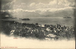 Stresa (View of Lake Maggiore) Postcard