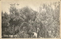 Isfahan - Bib?? Hable Postcard