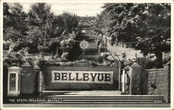 The Steps, Bellevue Belfast, Northern Ireland Postcard Postcard