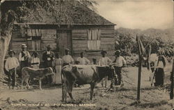 Typical House & Group of Natives, Barbados Postcard