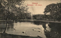 Slottsskogen - Lilla Dammen Postcard