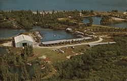 Four Winds - Pine Island Bokeelia, FL Postcard Postcard Postcard