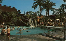 The Polynesian Village Disney Postcard Postcard Postcard