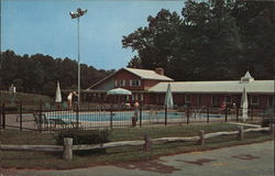 Forest Motel Postcard