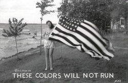 These Colors Will Not Run Patriotic Postcard Postcard Postcard