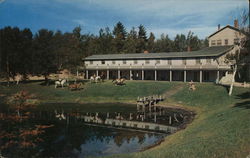 Au Sable Ranch and Ski Club Postcard