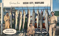 Home of the White Marlin Ocean City, MD Postcard Postcard Postcard