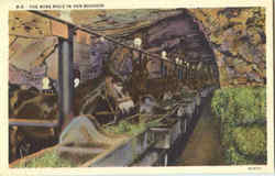 The Mine Mule In Her Boudoir Mining Postcard Postcard