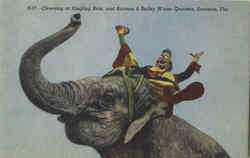 Clowning At Ringling Bros. And Barnum & Bailey Winter Quarters Postcard