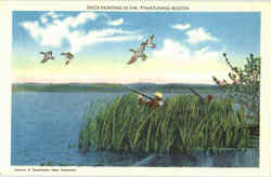 Duck Hunting In The Pymatuning Region Pennsylvania Postcard Postcard