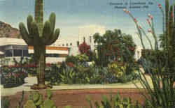 Entrance To Camelback Inn Phoenix, AZ Postcard Postcard