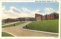 Homer Folks Hospital Oneonta, NY Postcard Postcard