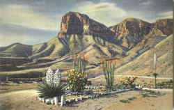 Signal Peak In The Guadalupe Mountains Postcard