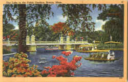 The Lake In The Public Gardens Boston, MA Postcard Postcard