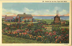 Home By The Sea Postcard