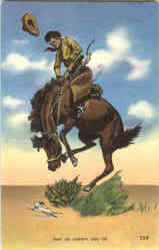 Ride Em Cowboy Ride Em Cowboy Western Postcard Postcard