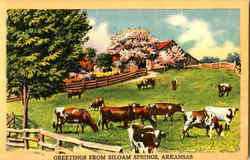 Greetings From Siloam Springs Arkansas Postcard Postcard