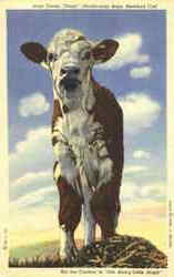 West Texas Dogie Cowboy Western Postcard Postcard