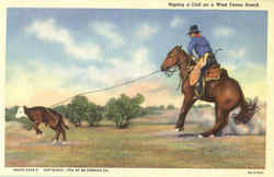 Roping A Calf On A West Texas Ranch Cowboy Western Postcard Postcard