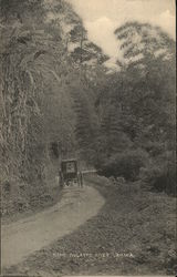 Near Mulatto River, Jamaica Postcard Postcard