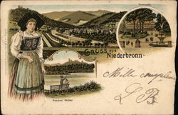 Greetings from Niederbronn France Postcard Postcard