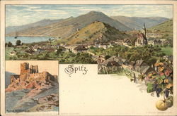 Spitz Postcard