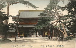 Zojyoji Temple Shiba Tokyo, Japan Postcard Postcard