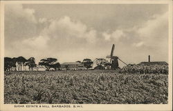 Sugar Estate & Mill Barbados Caribbean Islands Postcard Postcard