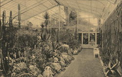 Kgl. Botanischer Garten - Cacti and Succulents Munich, Germany Postcard Postcard