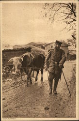 VIEHZUTRIEB (Driving Cattle) Germany Postcard Postcard