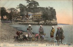 Shell picking Honmoku, Yokohama Postcard