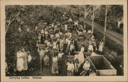 Carrying Coffee Sabana Postcard