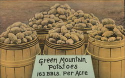 Green Mountain Potatoes 163 BBLS. Per Acre Farming Postcard Postcard Postcard