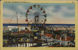 Playland - Ferris Wheel Postcard