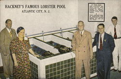 Hackney's Famous Lobster Pool Atlantic City, NJ Postcard Postcard Postcard