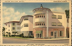 Peter Miller Hotel Miami Beach, FL Postcard Postcard Postcard