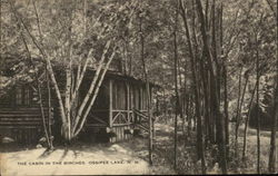 The Cabin in the Birches, Ossipee Lake New Hampshire Postcard Postcard Postcard