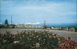 The Log Cabin - View from Terrace Postcard