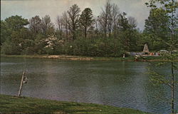 Dogwood Valley Camp Postcard