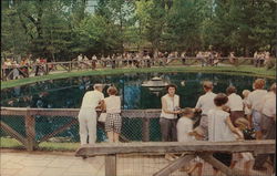 The Blue Hole Postcard