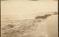 Flooded Area Postcard