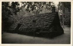 Het Nederlands Openluchtmuseum - Plaggenhut Postcard