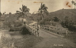 Man Walks Across A Bridge On Fiji Island Postcard