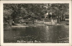 Homes on Lake Postcard