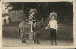 Two Children and Donkey Postcard